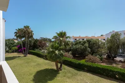 a palm tree in the middle of a yard at Elma By Albufeira Rental in Albufeira