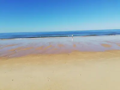 a person standing on a beach near the ocean at Mira Praia, Sunny and Sea in Quarteira