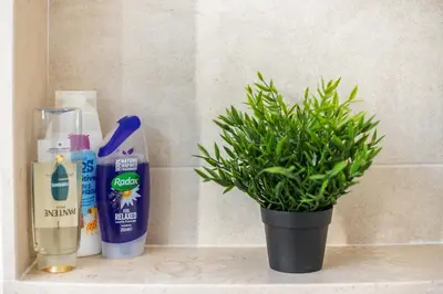 a potted plant sitting on a bathroom counter with toothpaste and a bottle at Holiday house in elite residential area of Faro in Faro