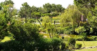 a garden with trees and a pond in a park at Victory Village 18E in Quinta do Lago