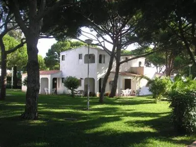 a large white house with trees in the yard at Amazing Algarve - Albufeira in Albufeira