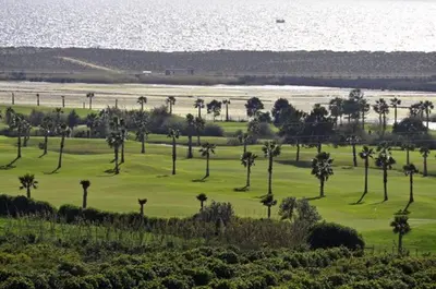a group of palm trees on a golf course at Villa Vale Do Lobo 626 3 Bedrooms Private Pool Short Walk To The Praca in Vale do Lobo