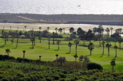 a group of palm trees on a golf course at Villa Vale Do Lobo 2 Townhouse 3 Bedroom Close To Amenities And Beach in Vale do Lobo