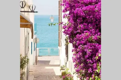 a street in positano with purple flowers at Casa do Avô in Albufeira