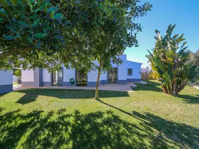 a house with a tree in the yard at Stunning Luxury Villa Private Pool, Galé Albufeira in Albufeira