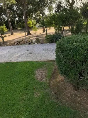 a bush in the grass next to a walk way at Quinta Verde Albufeira in Albufeira