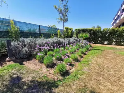 a garden with purple flowers in a yard at AlbufeiraMar Beach Apartment in Albufeira
