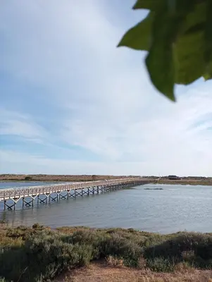 a long bridge over a body of water at Quinta do Lago Villa and Golf in Quinta do Lago