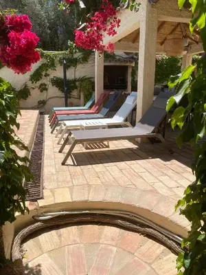 a group of four pictures of plants in pots at Casa felix in Loulé