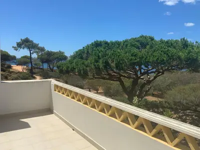 a balcony with a view of a tree at Praia da Falésia Alfa Mar Albufeira in Olhos de Água