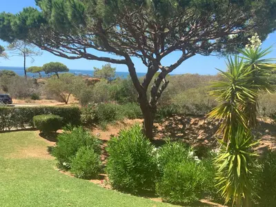 a tree in a garden with grass and bushes at Praia da Falésia Alfa Mar Albufeira in Olhos de Água