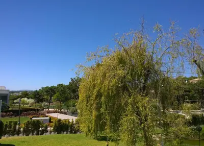 a weeping willow tree in a park at Grey Heron Apartment in Quinta do Lago