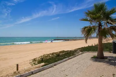 a beach with two palm trees and the ocean at Modern ocean view apt 2 min walk to beach in Quarteira
