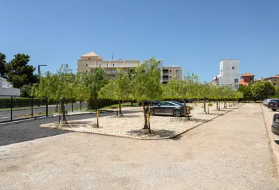 a row of trees in a parking lot at Neptuno IV - Vilamoura in Quarteira