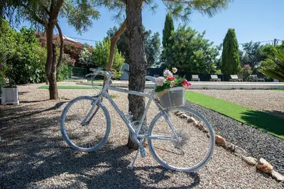 a bike parked next to a tree with flowers in a basket at Monte das Palmeiras in Loulé