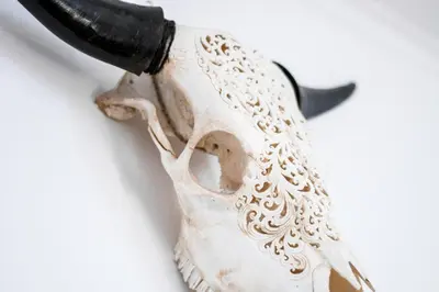 a white skull with a knife sticking into it at Bambu Villa in Albufeira
