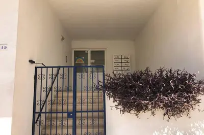 a plant on the side of a building with a gate at Le Modern' in Albufeira