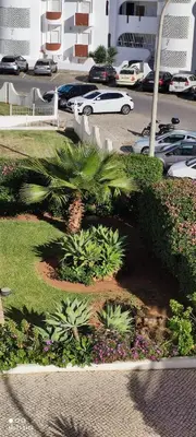 a view of a parking lot with cars and plants at AlbufeiraSun, arrive as a guest leave as a friend. in Albufeira