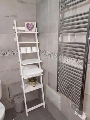 a white ladder in a bathroom with a shower at Mshomes II in Albufeira