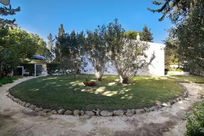 a small garden with trees in a yard at Vila Filipa in Guia