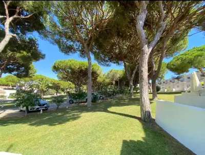 a yard with trees and a white wall at Casa da Bertha in Albufeira