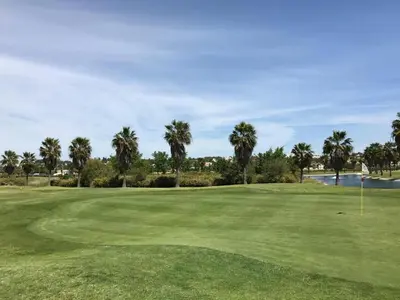 a view of a golf course with palm trees at Salgados - Vila das Lagoas in Guia