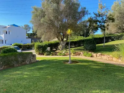a palm tree in the middle of a lawn at Casa Sophie Albufeira in Albufeira