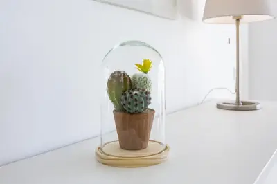 a cactus in a glass dome on a table at Miral 3 - Sea front by HD PROPERTIES in Quarteira