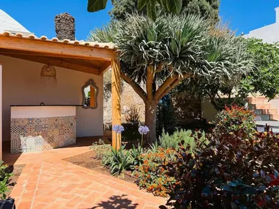 a garden with a tree and some plants at Old Fisherman's Corner 16 - Centro Old Town Albufeira in Albufeira