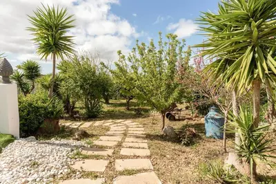 a stone path in a garden with palm trees at Monte Velho in Loulé