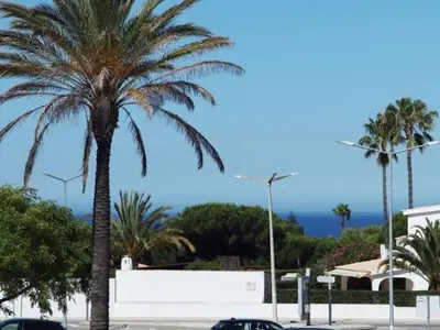 a palm tree in a parking lot next to cars at Villa Bel Mar by Stay ici Algarve Holiday Rental in Guia