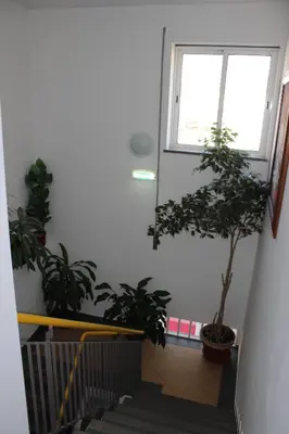 a staircase with two potted plants and a window at Dom Fernando I in Loulé