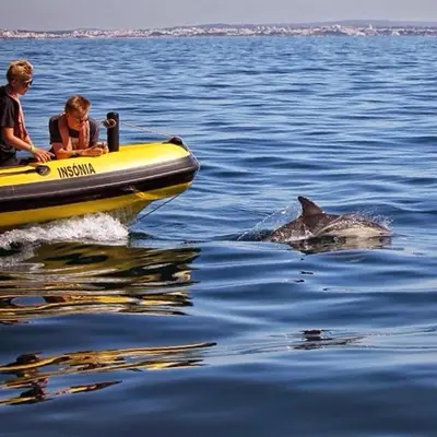 a man and a child on a boat with a dolphin in the water at Perfect location NEW holiday apartment in Albufeira