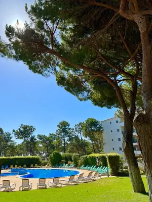 a large swimming pool with lounge chairs and a tree at Golden Blue Beach Falésia Apartment in Albufeira