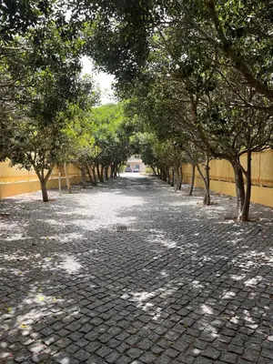 a cobblestone street with trees and a fence at Barracuda ByTheSea in Albufeira