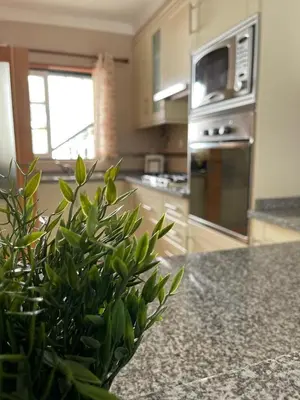 a kitchen with a potted plant on a granite counter top at Vitamin Sea Vilamoura in Quarteira