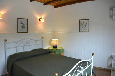 a bedroom with a green desk and a window at SOLAR DOS AVÓS in Guia