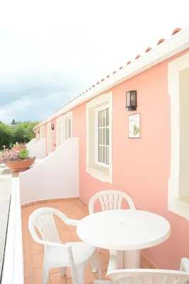 a courtyard with potted plants and a white wall at SOLAR DOS AVÓS in Guia