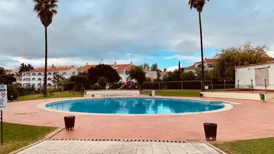 a large swimming pool in a park with palm trees at Sonho Azul in Albufeira