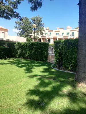 a green yard with a tree and a building at Villa V2 U in Olhos de Água