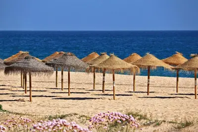 a bunch of straw umbrellas on a beach at Centralgarve - Elegant and Cosy Studio in the Heart of Vilamoura - Aldeia do Mar T0 in Vilamoura