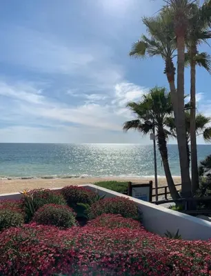 a view of the beach and the ocean with palm trees at Large apartment in Vale do Lobo in Almancil