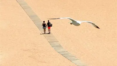 two people walking on the beach with a bird at In Downtown - Villa Serenity in Albufeira