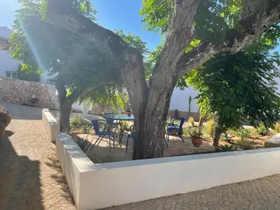 a tree in a white planter with a table and chairs at Casa Pedra São Romão in São Brás de Alportel