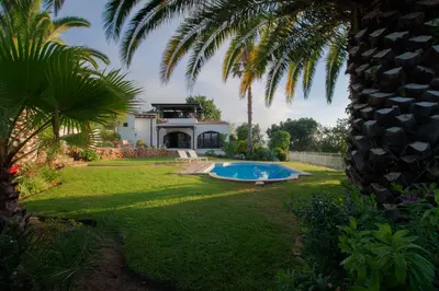 a yard with a pool and a house with a palm tree at Suite Swimming Pool Quinta da Eira 140 years old in Loulé