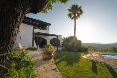 a house with a palm tree and a swimming pool at Suite Swimming Pool Quinta da Eira 140 years old in Loulé