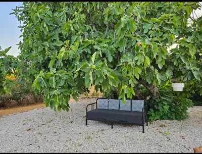a black bench sitting in front of a tree at Casa Aventura in Boliqueime