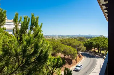 a car driving down a road with a palm tree at Apartment Pine View- Falesia Beach By Dalma Portuguesa in Albufeira