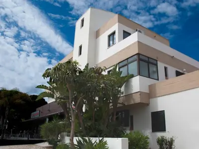 a white house with a palm tree in front of it at Agua Viva by Umbral in Albufeira