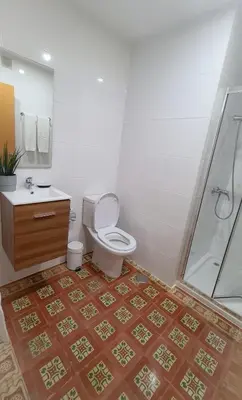 a bathroom with a toilet and a shower at Mezzanine 4 Faro in Faro